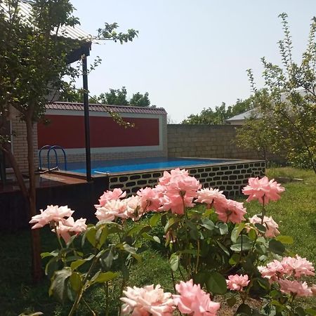 Villa Vilish Gabala Esterno foto