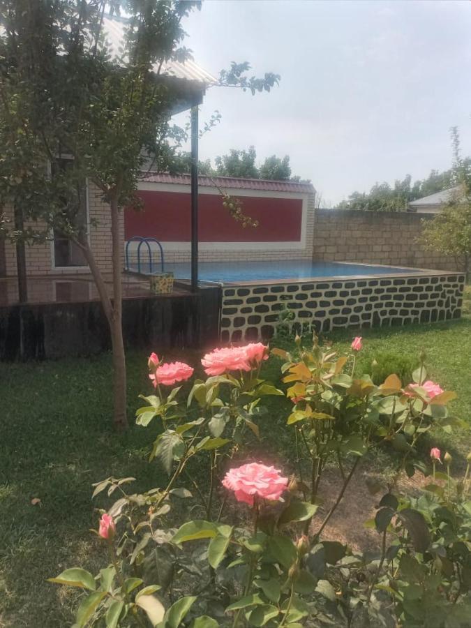 Villa Vilish Gabala Esterno foto