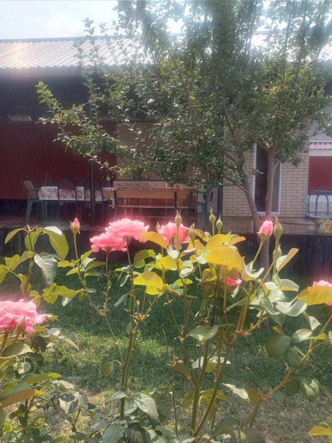 Villa Vilish Gabala Esterno foto