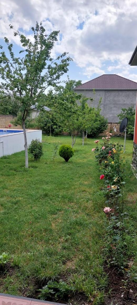 Villa Vilish Gabala Esterno foto